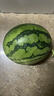 京鲜生 无籽麒麟瓜西瓜 1粒装 单果5-6斤 生鲜水果源头直发包邮 实拍图