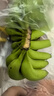 高山精品甜蕉现摘新鲜水果香蕉孕妇宝宝辅食搭配丫丫生鲜特产 9斤装【青蕉发货】 实拍图