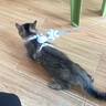 华元宠具（hoopet）猫咪牵引绳溜猫遛猫绳子防挣脱逃背心宠物背带链子可调节外出用品 实拍图