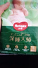 好奇（Huggies）小森林试用装尿不湿心钻纸尿裤NB4片 实拍图