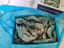 鲜京采 厄瓜多尔白虾 净重3斤/盒 特大号20-30规格   30-45只/盒 实拍图