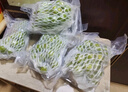 京鲜生 精品阳光玫瑰葡提 3-3.5斤礼盒装 2-3串 单果13g起 生鲜水果 实拍图