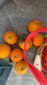 生活＆好管家 四川爱媛38号果冻橙柑橘手剥橙新鲜橙子水果应季时令桔橘子 净重8斤【性价比高-全家爽吃】 果径70-75MM【中大果推荐款】 实拍图