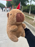 卡皮巴拉毛绒玩具公仔儿童生日礼物女孩情人节礼物水豚毛绒玩偶 卡皮巴拉公仔 1个装（新人专享） 实拍图