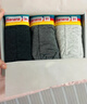 蕉内（Bananain）银皮301S男士内裤纯棉7A抗菌短裤青少年撞色腰带运动透气平角3件 彩虹腰 3条 2XL 实拍图