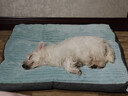 华元宠具狗窝垫子四季通用大型犬冬季保暖狗狗床宠物沙发可拆洗睡垫猫咪窝 实拍图