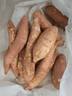 鲁禧海岸正宗山东烟薯25号 超甜红薯糖心烟薯新鲜番薯地瓜烤薯 源头直发 【新品种-白心哈密】中果净重3斤 实拍图