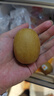 佳沛（zespri）新西兰  阳光金奇异果16粒礼盒经典果单果约 77-103g 水果 猕猴桃 实拍图
