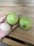 京喜加【送酸梅粉】福建白心芭乐 番石榴 可做拌水果 京东快递 2颗大果 带箱 实拍图