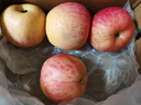 京鲜生 正宗新疆阿克苏苹果 脆甜苹果 4粒装 果径80-85mm 新鲜水果 实拍图