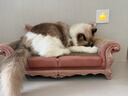 梵都宠舍猫抓板猫窝一体大号豪华贵妃躺椅猫玩具猫沙发 实拍图
