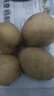 京喜加新鲜黄心土豆农家自种黄皮马铃薯黄心洋芋新鲜蔬菜 250g 实拍图