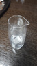 DKO白酒杯分酒器100ml套装酒壶小酒杯洋酒杯 白酒家用二两白酒杯酒盅 15ml子弹杯6+100ml无把分酒器6 实拍图