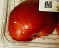番茄约500g 实拍图