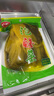 广乐泡酸菜整颗酸菜鱼配料四川泡酸菜酸菜汤酸菜面400g/袋 实拍图