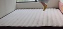 沐山春天然S型精细黄麻椰棕床垫子1.8x2米纯硬棕榈垫薄儿童乳胶定制1.5 B偏硬10cm=防螨面料+7cm【S型黄麻】 1.8米*2米 实拍图