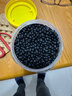 黑豆黄心黑豆优质东北黄芯黑豆非转基因杂粮豆浆五谷杂粮农家黑豆 【颗粒饱满】黄芯黑豆 1000克【实惠2斤装】 实拍图
