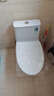 恒洁（HEGII）京东联名马桶S3 家用虹吸新版马桶513小户型坐便器DCF0300PT-305 实拍图