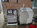 扬子洗衣机半自动大容量家用双桶双缸洗衣机脱水双筒 6.2公斤玻璃面板-小型款 实拍图