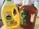 滴露消毒液衣物除菌液洗衣消毒水1.8L杀菌除螨家居衣物消毒除菌松木香 实拍图