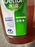 滴露消毒液衣物除菌液洗衣消毒水1.8L杀菌除螨家居衣物消毒除菌松木香 实拍图