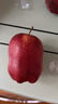 京鲜生 甘肃天水花牛苹果 又大又红 6粒尝鲜装 单果160-190g 生鲜水果  实拍图