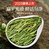贡苑绿茶龙井茶 豆香浓香型250g2025新茶袋装茶叶精选春茶自己喝 实拍图