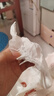 好奇（Huggies）铂金装拉拉裤 大号 L120片 实拍图