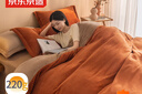 京东京造 220g牛奶绒四件套 A类秋冬加厚高克重法兰绒保暖双人床单枕套被套 1.5米床 焦糖Milky 实拍图