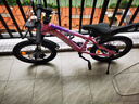 凤凰儿童山地自行车5-8-12-18岁青少年男女孩碟刹减震变速18寸粉色 实拍图