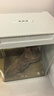 宠街坊小鱼缸一体缸自循环水族箱桌面客厅小型送礼生态鱼缸造景240 实拍图
