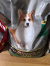 冠能狗粮体重控制绝育犬成犬狗粮全价7kg 高蛋白低脂肪健康减轻体重 实拍图