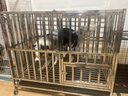 爪墅可折叠不锈钢狗笼子小型中型大型犬带厕所狗笼金毛边牧宠物笼子 【折叠款】长110*宽72*高95【萨摩耶-五黑犬】 实拍图