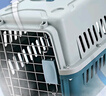 腆宠宠物航空箱小号 猫咪航空箱猫狗 猫包猫笼外出车载猫箱狗狗托运 实拍图
