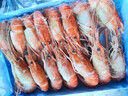 京东超市 【原装进口】泰国熟冻罗氏沼虾净重700g 大号(16-20/KG规格)  实拍图