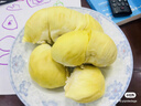京鲜生 进口金枕头榴莲 巴掌榴莲 2-3斤 1个装  鲜果 生鲜 新鲜水果 实拍图