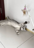 多可特逗猫棒长杆木柄伸缩羽毛逗猫棒替换头猫咪用品猫玩具耐咬逗猫器 可伸缩（一杆+1个羽毛头） 实拍图