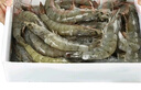 卖鱼郎先生青岛盐冻大虾净重2斤 20-25只/斤 青虾海虾生鲜 虾类 实拍图
