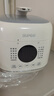 苏泊尔（SUPOR）【国家补贴】一人食迷你电压力锅2.5L 开盖火锅家用智能宝宝粥SY-25FC8027电饭煲高压锅1-3人 实拍图