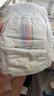 bebebus 金标茶树精华成长裤2XL20片(≥15kg)透气超薄拉拉学步裤男女宝 实拍图