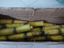 广西黄皮甘蔗水果黑皮甘蔗新鲜黄果蔗可榨汁煲汤削皮即食产地直发 【囤货】黄皮甘蔗9斤 实拍图