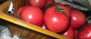 京鲜生 山东普罗旺斯番茄 净重4.5斤 单果125g+ 沙瓤西红柿 源头直发 实拍图