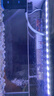 LED全光鱼缸灯同款水族箱鱼缸照明灯架水草灯增艳发色灯神灯节能 21瓦蓝白78cm（适合80-90cm鱼缸） 四排灯珠 实拍图