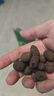 陶粒通用型垫底陶粒养花专用花盆铺面陶土种植土兰花多肉营养土 10升园艺陶粒（中颗粒12-16mm） 实拍图