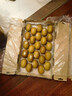 佳沛（zespri）新西兰  阳光金奇异果25-27粒原箱特大果单果约122-146g  猕猴桃 晒单实拍图