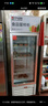 德玛仕（DEMASHI）食品留样柜 学校幼儿园公司留样柜食堂用水果蔬菜保鲜留样冰箱保鲜柜冷藏冰柜展示柜LG-260Z(带锁) 实拍图