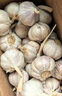紫白皮蒜水果大蒜超市即食生鲜蔬菜大蒜 特价5头 100g 单果3.5-5cm 实拍图