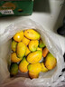 海南小台农芒果9斤新鲜现摘小台芒应当季时令热带水果整箱甜心芒 5斤净重4.5斤 【中果】实惠装 实拍图