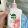 滴露（Dettol）健康抑菌洗手液滋润倍护500g 消毒抑菌99.99% 儿童适用不含酒精 实拍图