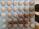 CP  正大 鲜鸡蛋 30枚 3.18斤 早餐食材 优质蛋白  礼盒装 实拍图